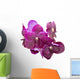 Purple orchid isolated Wall Decal