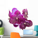 Purple orchid isolated Wall Decal
