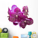 Purple orchid isolated Wall Decal