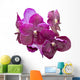 Purple orchid isolated Wall Decal