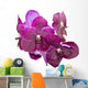 Purple orchid isolated Wall Decal
