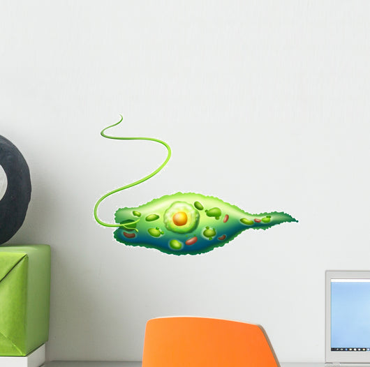 Euglena Wall Decal
