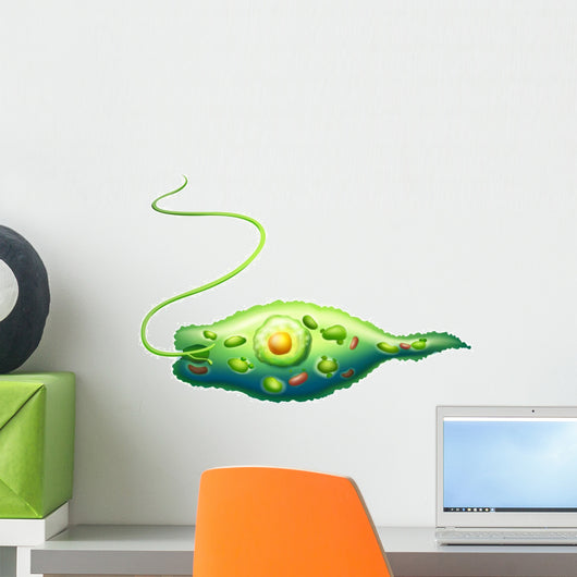 Euglena Wall Decal
