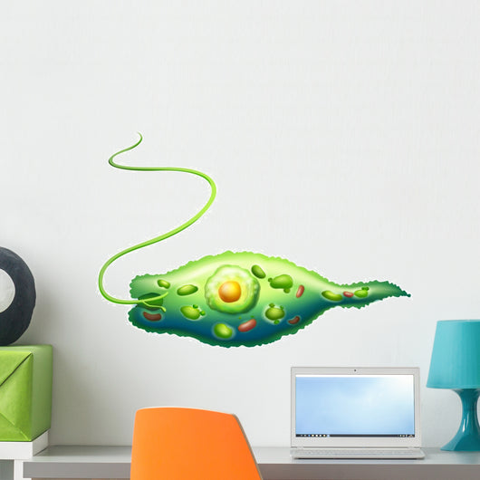 Euglena Wall Decal