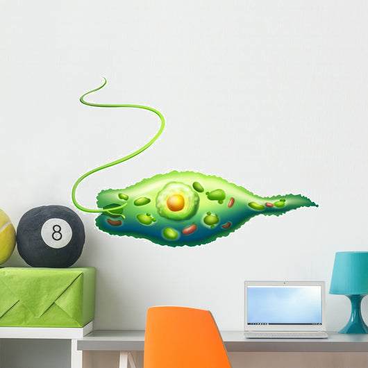 Euglena Wall Decal