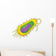 Bacteria Cell Wall Decal