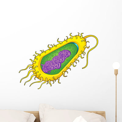 Bacteria Cell Wall Decal shown on a wall