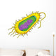 Bacteria Cell Wall Decal