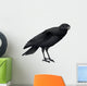 A Crow Wall Decal