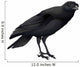 A Crow Wall Decal