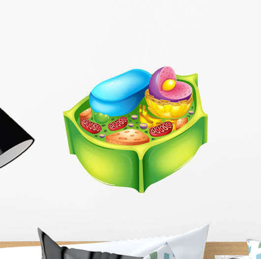 Plant Cell