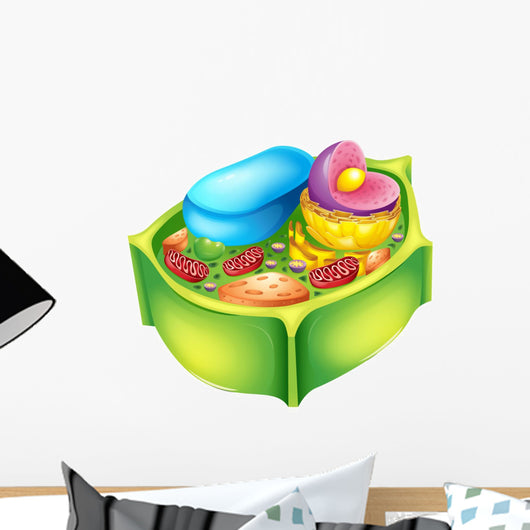 Plant Cell