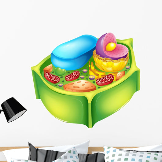 Plant Cell