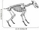 Skeleton Hyena Wall Decal