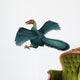 Archaeopteryx Wall Decal