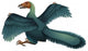 Archaeopteryx Wall Decal