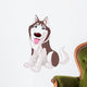 Cute husky Wall Decal