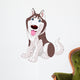 Cute husky Wall Decal