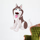 Cute husky Wall Decal