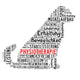 Achievements Physiotherapy dog Wall Decal