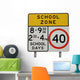 Isolated school zone sign Wall Decal
