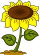 Sunflower Wall Decal