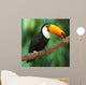 Toucan