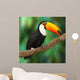 Toucan