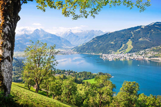 Beautiful Landscape with Alps