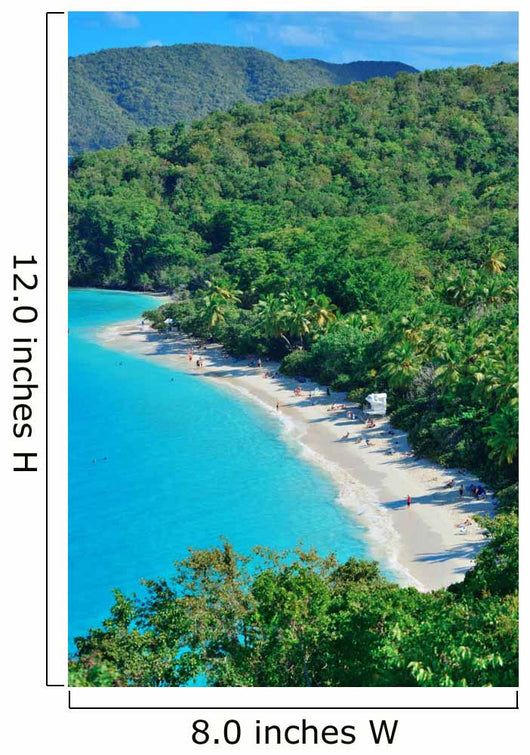 Virgin Islands Beach Wall Mural