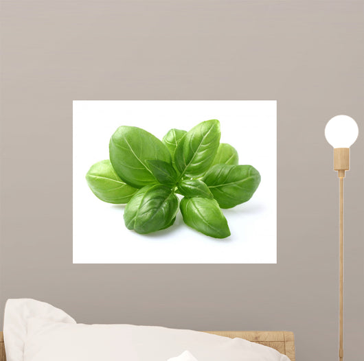 Basil Leaves Closeup