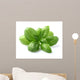 Basil Leaves Closeup