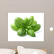 Basil Leaves Closeup