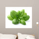 Basil Leaves Closeup