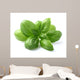 Basil Leaves Closeup