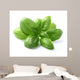 Basil Leaves Closeup