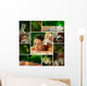 Spa Theme  Photo Collage Composed of Different Images Wall Mural