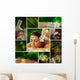 Spa Theme  Photo Collage Composed of Different Images Wall Mural