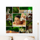 Spa Theme  Photo Collage Composed of Different Images Wall Mural