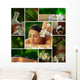 Spa Theme  Photo Collage Composed of Different Images Wall Mural