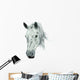 White Horse Head