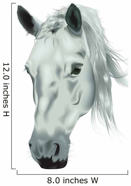 White Horse Head