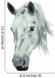 White Horse Head
