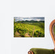Prosecco Vineyards Wall Mural