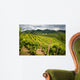 Prosecco Vineyards Wall Mural