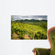 Prosecco Vineyards Wall Mural