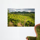 Prosecco Vineyards Wall Mural