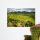 Prosecco Vineyards Wall Mural
