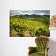 Prosecco Vineyards Wall Mural