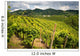 Prosecco Vineyards Wall Mural